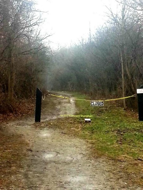 Bachelor's Grove Cemetery photo by Edward Shanahan